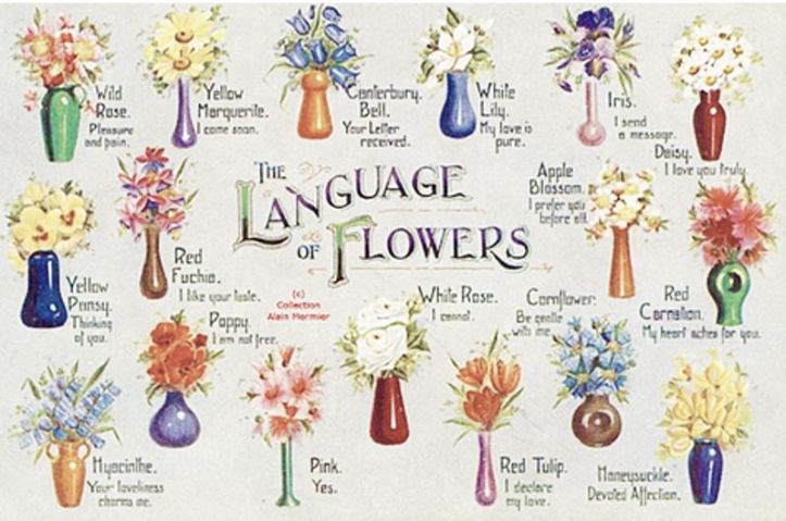 language of flowers